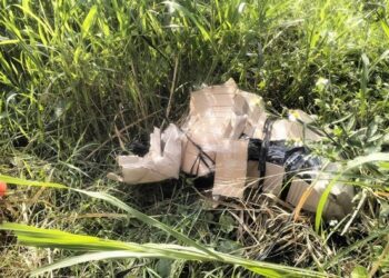 Gresik tewas (Istimewa)