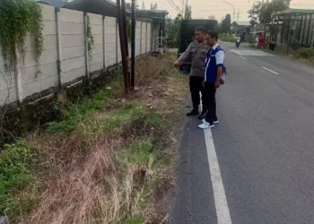 Gresik tewas (istimewa)