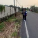 Gresik tewas (istimewa)