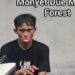 Viral! Video Pria Bertingkah Seperti Monyet Usai Diduga Lakukan Kekerasan Pada 2 Ekor Monyet di Monkey Forest Ubud