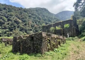 5 Alasan Mengapa Kalian Wajib Berkunjung ke Gunung Puntang, Destinasi Alam yang Memukau Ini