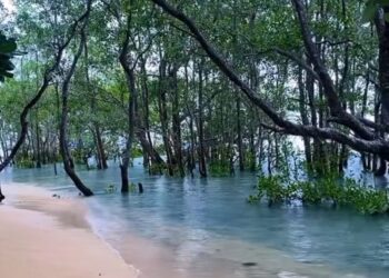 Pantai Tenda Biru: Keindahan Tersembunyi di Ujung Selatan Jawa Barat