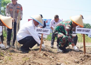 Polres Garut Bersama Unsur Forkopimda dan Masyarakat Tanam Jagung Bersama, Ini Tujuannya