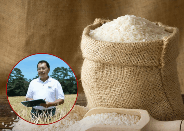 Ilmuwan Asal Indonesia Ciptakan Cahokia Rice: Beras Tinggi Protein Pertama di Dunia