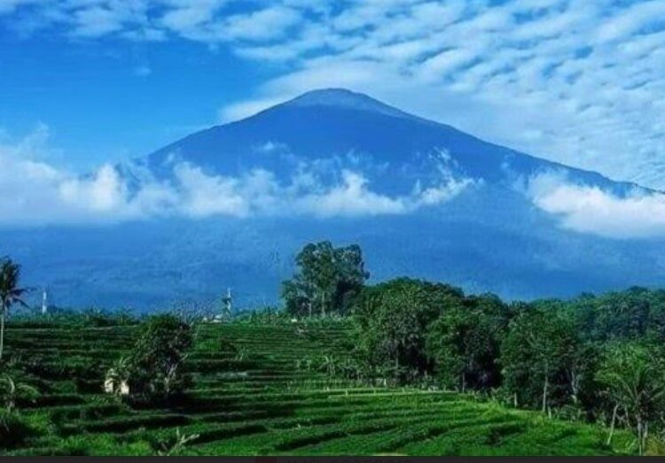 Anggota DPR RI dari PKB Hj Rina Sa’adah Bahas Kebakaran Hutan di Kuningan