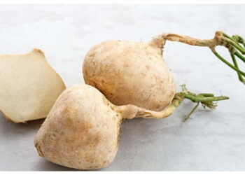 Mau Kulit Glowing dan Tubuh Fit? Rajinlah Makan Bengkoang