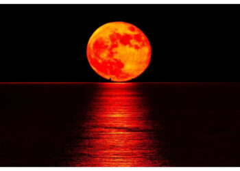 Fenomena Blood Moon Terlihat di Indonesia 7–8 September 2025