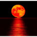 Fenomena Blood Moon Terlihat di Indonesia 7–8 September 2025