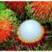Benarkah Rambutan Bisa Sebabkan Batuk? Ini Faktanya