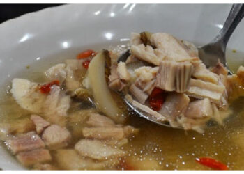 Daging Ular untuk Kulit? Ini Fakta dan Risiko yang Perlu Diketahui