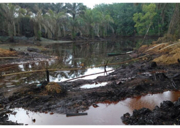 DPR Kritik Kecilnya Kontribusi Migas ke APBN 2026 Dibanding Dampak Ekologis