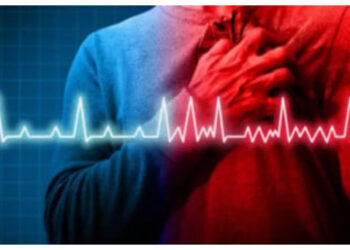 WASPADA! Kolesterol Tinggi Bisa Diam-diam Menyebabkan Serangan Jantung