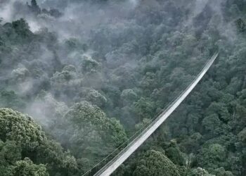 Keren! Jembatan Gantung Situ Gunung Sukabumi Terpanjang di Asia Tenggara