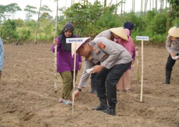 Semangat Ketahanan Pangan, Kapolres Tasikmalaya Ajak Warga Tanam Jagung