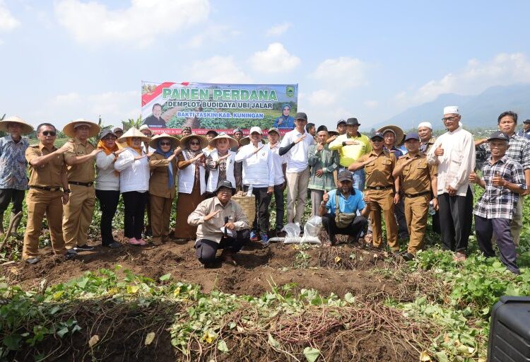 DPP Bakti Taskin Mengentas Kemiskinan Melalui Sektor Pertanian