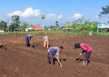 3.247 Pekerja Rentan pada 83 Desa di Kuningan Menerima Jamsostek JKK dan JKM dari Cukai Tembakau
