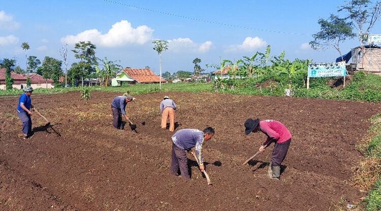 3.247 Pekerja Rentan pada 83 Desa di Kuningan Menerima Jamsostek JKK dan JKM dari Cukai Tembakau