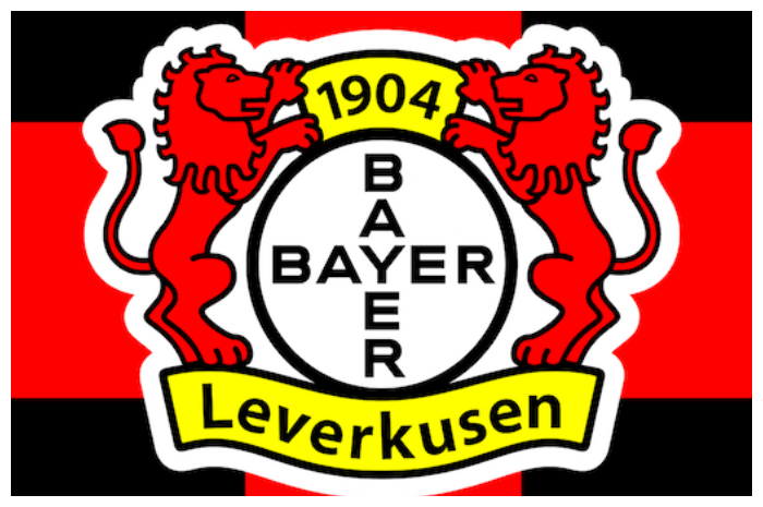 Tersebab Cedera Ligamen, Bayer Leverkusen Kehilangan Gelandang Argentina