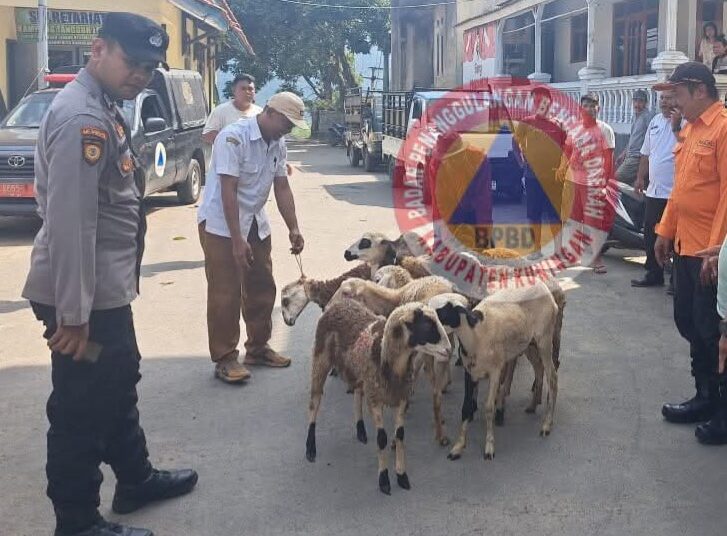 Pemkab Kuningan Berikan Bantuan 95 Kambing Bagi Peternak di Kecamatan Hantara yang Rawan Serangan Macan Tutul
