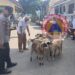 Pemkab Kuningan Berikan Bantuan 95 Kambing Bagi Peternak di Kecamatan Hantara yang Rawan Serangan Macan Tutul