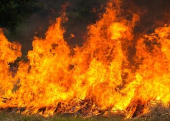 Kebakaran Kandang Domba di Tanjungsari Sumedang, 43 Domba Mati Terpanggang