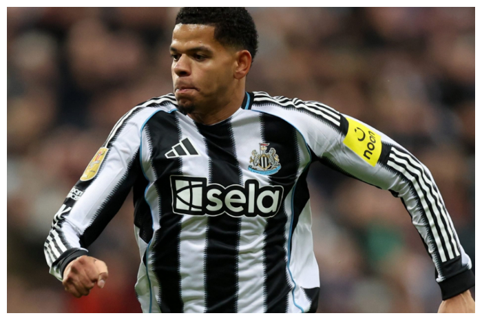 Krisis Penyerang, VfB Stuttgart Bidik Osula dan Parrott untuk Lini Depan