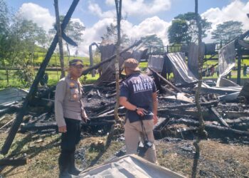 Wisata Forest Hills Kertasari Kabupaten  Bandung Terbakar, 1 Orang Penjaga Tewas