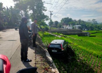 Hilang Kendali Saat Berkendara, Honda CR-V “Terbang” ke Sawah