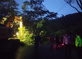 Pohon Tumbang di Jalan Lingkar Nagreg Timpa Motor, Lalin Sempat Ditutup