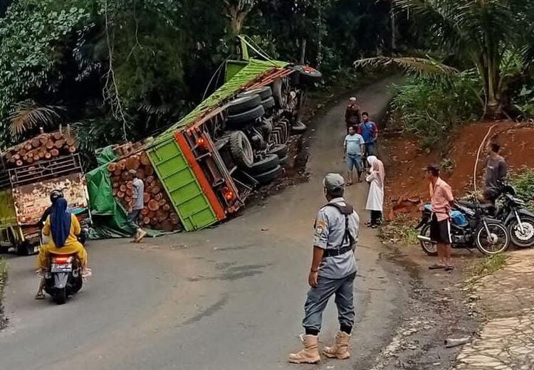 Tak Kuat Menanjak, Truk Fuso Pengangkut Kayu Glondongan Terguling
