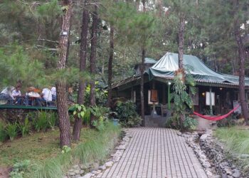 Keseruan Destinasi Wisata LQ FOREST Ditengah Hutan