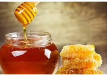 Madu Palsu Bisa Berbahaya! Ini Tips Memilih Madu Asli