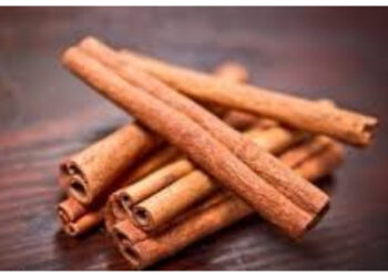 Glow Up Alami dengan Kayu Manis: Ini Manfaat dan Efek Sampingnya