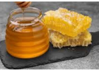 Tak Sekadar Pemanis Alami, Ini Khasiat Madu Jika Dikonsumsi Setiap Hari