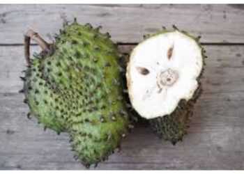 Bagian Pola Makan Sehat, Potensi Sirsak dalam Mendukung Kesehatan dan Imunitas