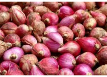 Rahasia Sehat dari Dapur, Ini Manfaat Bawang Merah untuk Tubuh