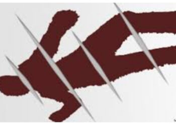 Kaleidoskop 2025: Misteri Jasad Pembunuhan yang Membeku dalam Freezer Lebih dari Setahun