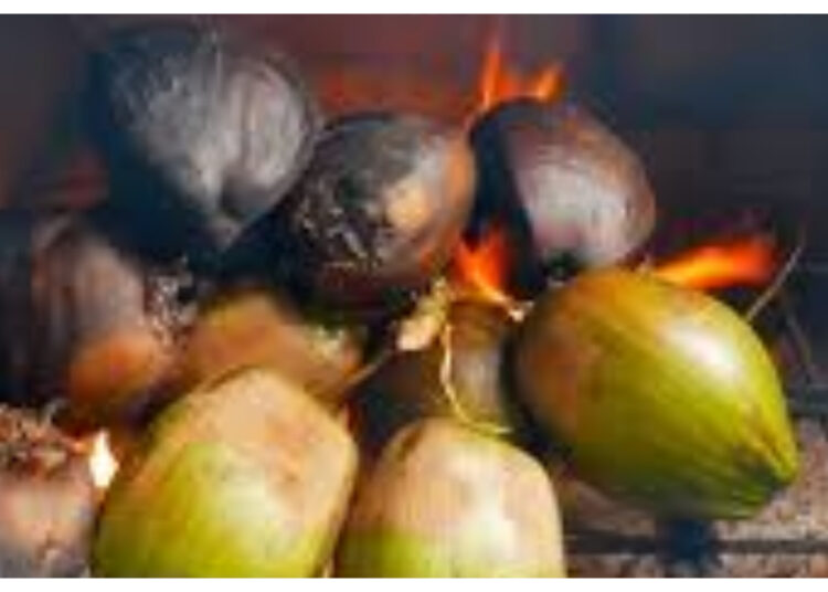 Kelapa Bakar dan Kandungan Gizinya, Aman Dikonsumsi?