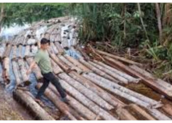 Banjir Sumatera Seret Kayu Gelondongan, Teridentifikasi Dugaan Pelanggaran Hutan