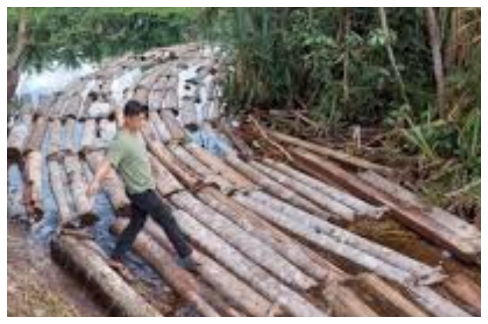 Banjir Sumatera Seret Kayu Gelondongan, Teridentifikasi Dugaan Pelanggaran Hutan