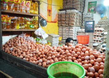 Hadapi Momen Nataru, Bapanas Sebut Stok Telur Ayam Secara Nasional Mencukupi
