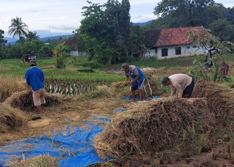 Peringkat Kemiskinan Kab. Kuningan Turun Jadi ke-3 se-Jabar