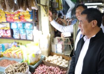 Stok dan Stabilitas Harga Pangan Nasional Aman, Mentan Ungkap Hal Ini