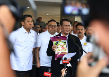 Jaga Distribusi dan Stok Pangan Menjelang Nataru, Mentan Ungkap Hal Ini