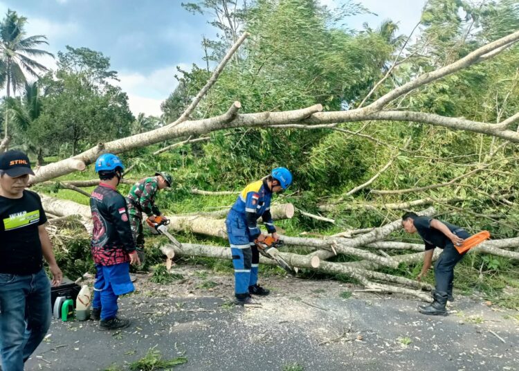 Angin Kencang Tumbangkan Puluhan Pohon, Timpa Rumah dan Tutup Badan Jalan di Tasikmalaya