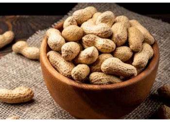 Kaya Nutrisi, Inilah Alasan Kacang Baik Dikonsumsi Rutin