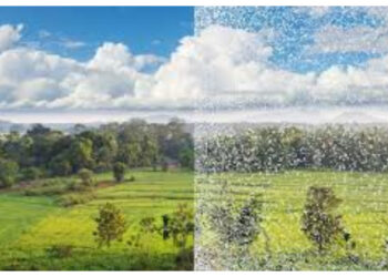 Visual Snow Syndrome: Kenali Tanda dan Penanganannya Sejak Dini