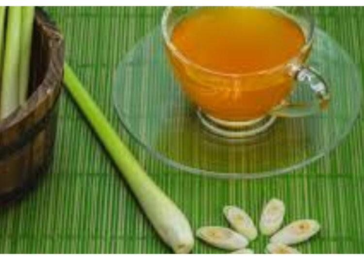 Manfaat Air Sereh untuk Kesehatan Tubuh dan Kecantikan Kulit