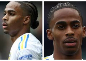 Tottenham Bidik Crysencio Summerville Jelang Penutupan Bursa Januari