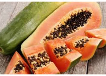 Musim Hujan Rawan Penyakit, Ini Buah yang Baik untuk Daya Tahan Tubuh